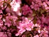 img_3983 img_3983